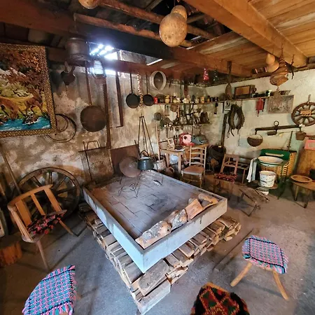 Tatil Evi Kate Lusnic