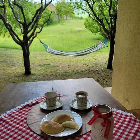 Tatil Evi Kate