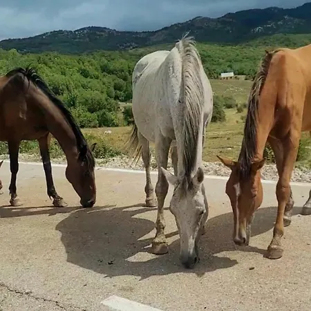 Kate Tatil Evi