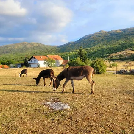 Kate Tatil Evi